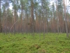 1h9b4061-jpg